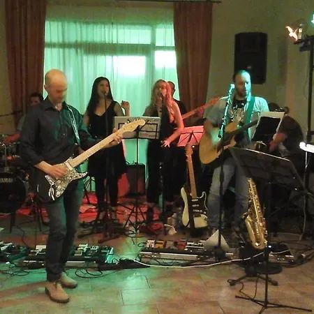 酒店 奇才酒店 3*